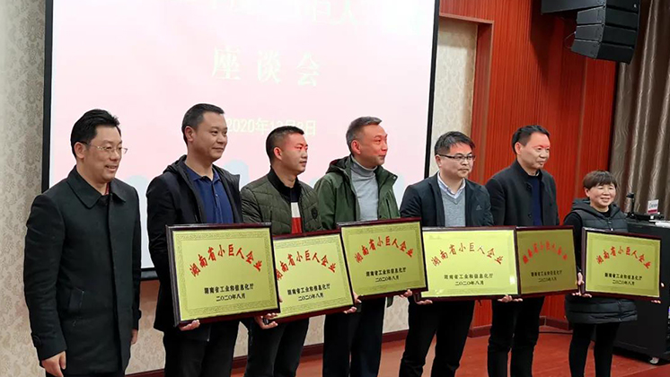 喜大普奔！炬神電子被評為湖南省“小巨人”企業