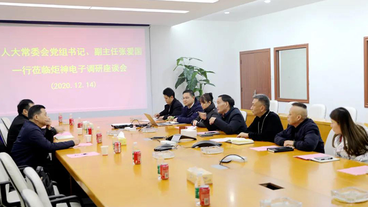 郴州市人大常委會黨組書記、副主任張愛國到炬神電子調研安全生產工作